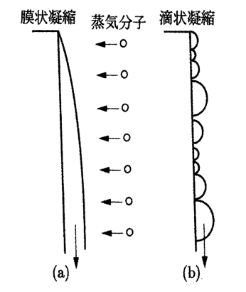 図1 膜状凝縮と滴状凝縮　1)