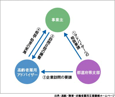 高年齢者雇用アドバイザー派遣の流れ