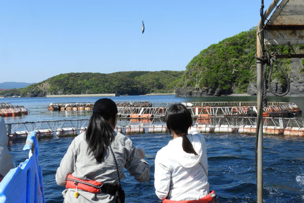 体験ツアー「海遊記」では養殖魚への餌やりなどを行う