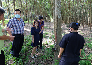 タイ農園の生産者らと現地に足を運ぶ同社スタッフ