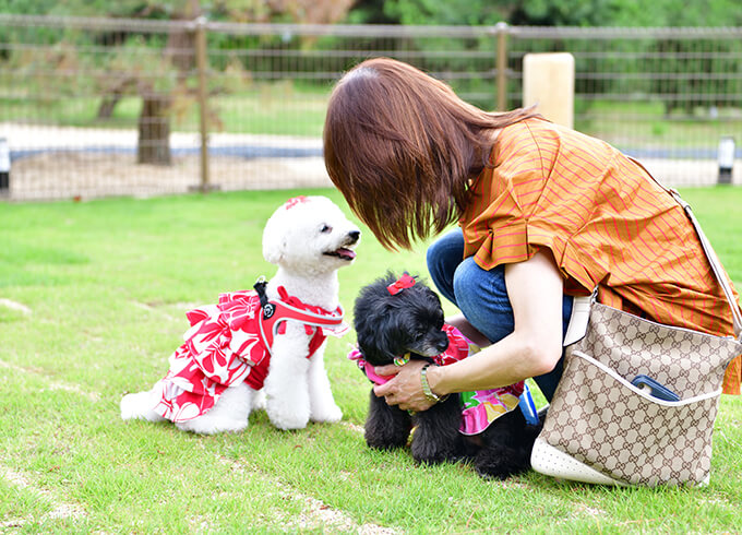 お客様も愛犬も楽しく過ごせる「びわ湖　松の浦別邸」