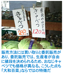 販売方法には買い取りと委託販売があり、委託販売では、生産者が自由に値段を決められるため、おなじキャベツでも価格が異なる。こうした点も「大和百菜」ならではの特徴だ