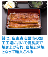 鰻は、広東省汕頭市の加工工場において備長炭で焼き上げられ、白焼と蒲焼となって輸入される