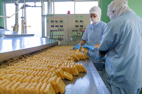 一連の支援で品質と生産性の向上が進んだ
