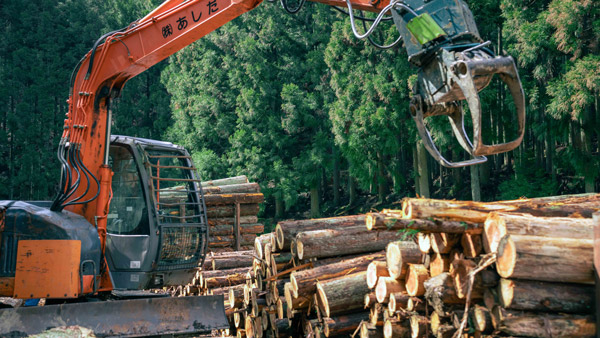森林経営計画を作り、長期的な視点で森林を整備