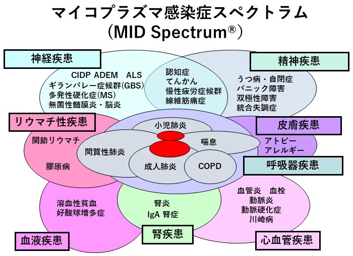 マイコプラズマ感染症スペクトラム