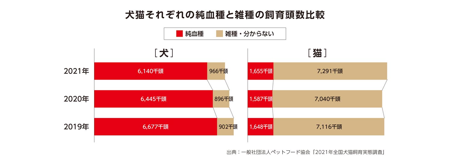 犬猫それぞれの純血種と雑種の飼育頭数比較