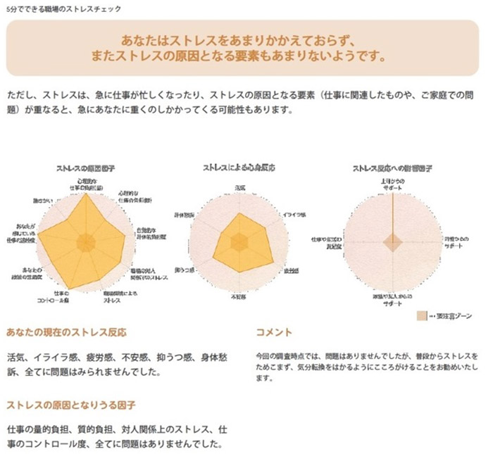 5分でできる職場のストレスセルフチェック（診断結果例）